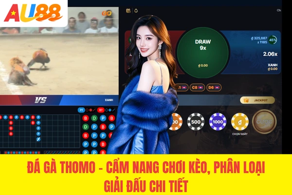 Đá Gà Thomo - Cẩm Nang Chơi Kèo, Phân Loại Giải Đấu Chi Tiết