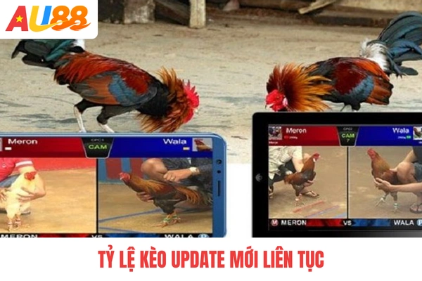 Tỷ lệ kèo update mới liên tục